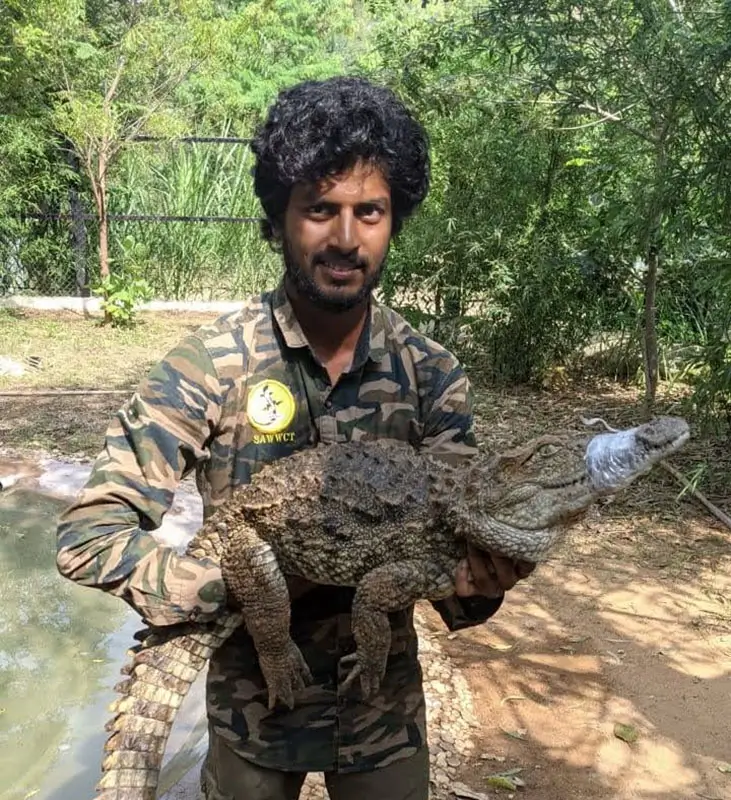 Raja